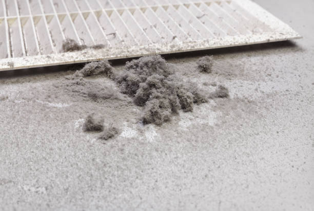 Best Commercial Air Duct Cleaning  in Polk City, IA